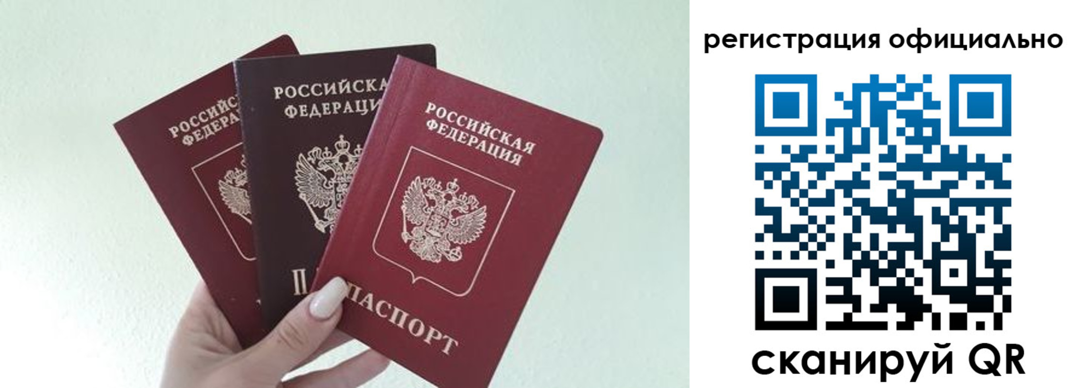 прописка в Щиграх